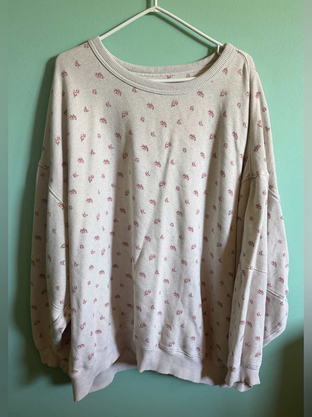 aerie Cream Crewneck Sweatshirt with Pink Floral Print